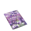 Bild von Broschüre Duftpost Lavendel
