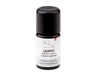 Aromalife TOP Cajeput ätherisches Öl 5 ml aus Wildsammlung freistehend