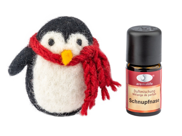 Geschenkset Pinguin Theo Filz jetzt bei  bestellen