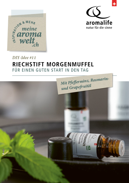 Bild von DIY-Idee #11: Riechstift Morgenmuffel