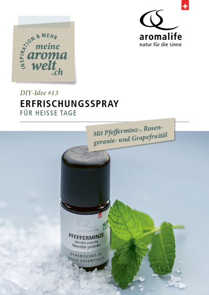 Bild von DIY-Idee #13: Erfrischungsspray