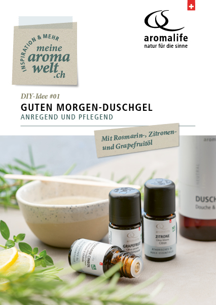 Bild von DIY-Idee #1: Guten Morgen-Duschgel