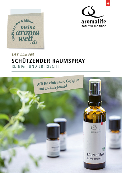 Bild von DIY-Idee #5: Schützender Raumspray