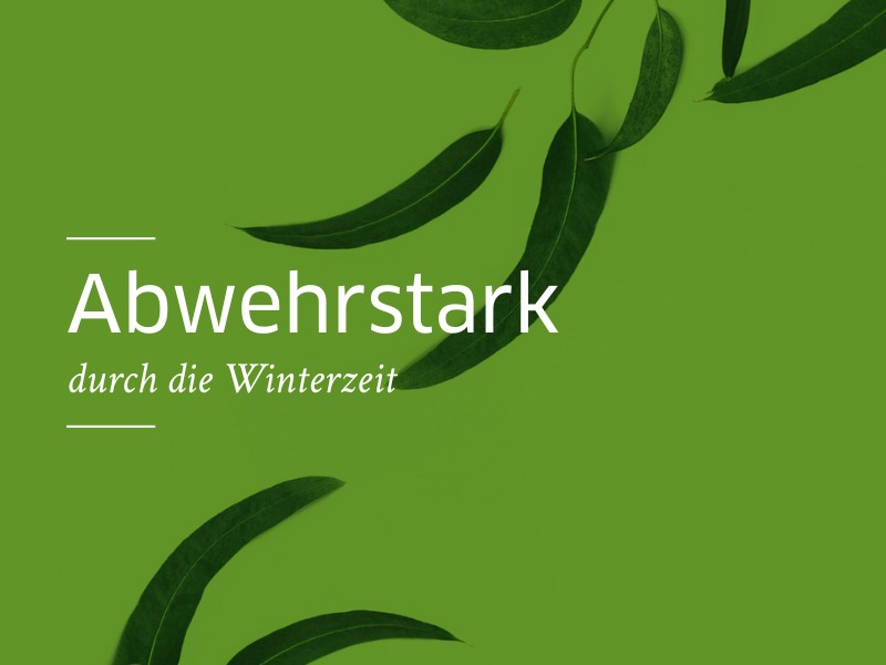 Gründer Hintergrund mit feinen Blättern im Vordergrund