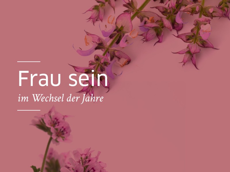 Rosa Hintergrund mit Muskatellersalbei darauf.