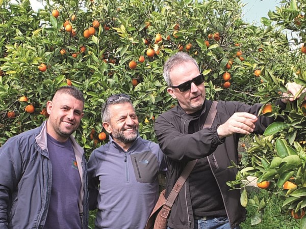 Jürg Horlacher und Marcel Kocaman inmitten einer Orangenplantage